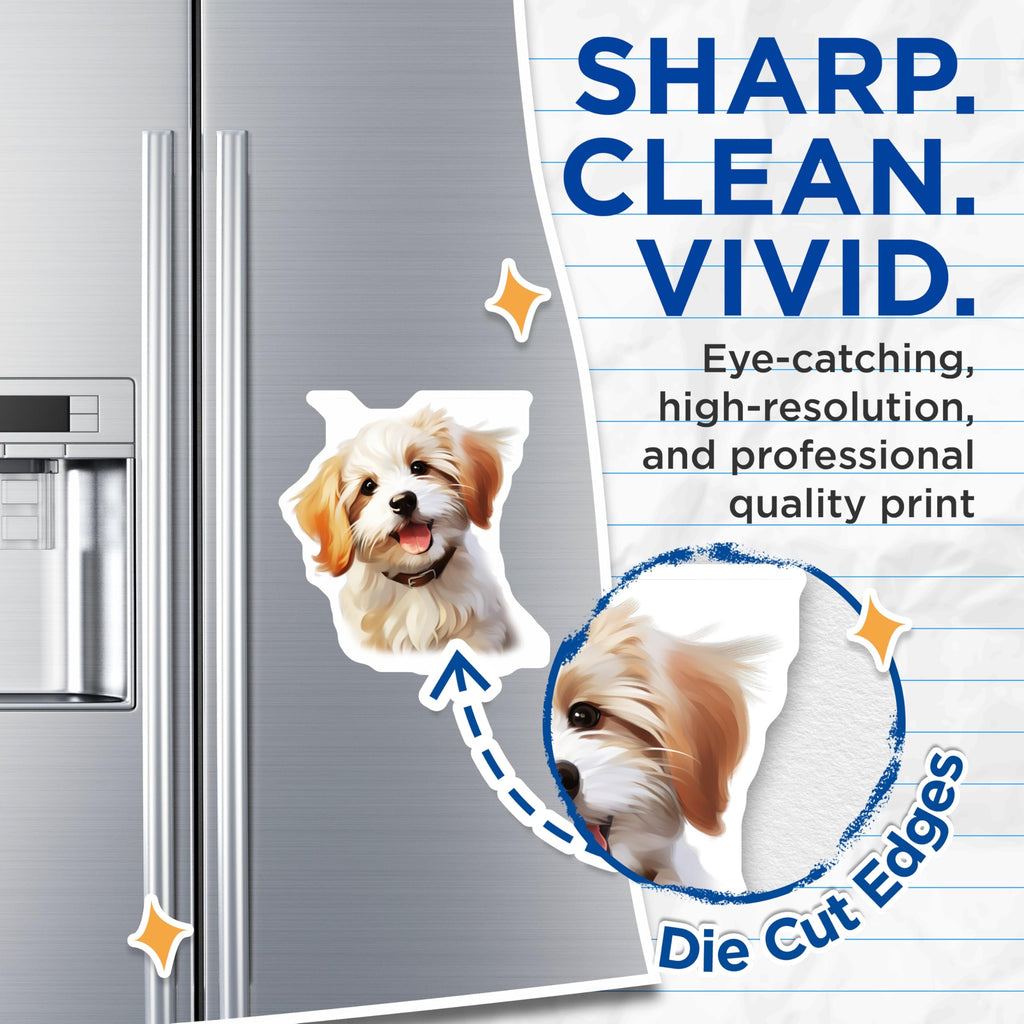 (2 Pack) Cute Puppy Magnets - Fluffy Dog Art - Dog Lover Decor - Pet Parent Accessory - Happy Animal Accent - 5 Inches On Longest Side - Thick Durable Magnet - Made in USA - MAG30403