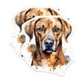 (2 Pack) Rhodesian Ridgeback Magnets - Watercolor Dog Art - Pet Lover Fridge Decor - Dog Mom Dad - 5 Inches On Longest Side - Thick Durable Magnet - Made in USA - MAG29537