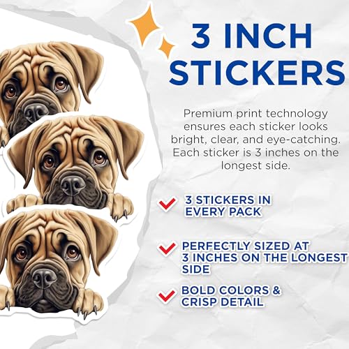 (3 Pack) Bullmastiff Decals - Cute Dog Stickers - Laptop Decor - 3 Inches On Longest Side - Easy Peel & Apply - Made in USA - 3MCS8657