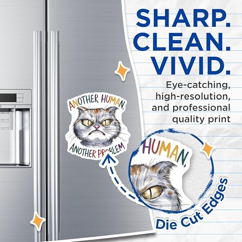 (2 Pack) Funny Cat Magnets Magnets - Another Human Another Problem - 5" On Longest Side - Made in USA - Sticks to Refrigerators & Metal Surfaces - MAG8562