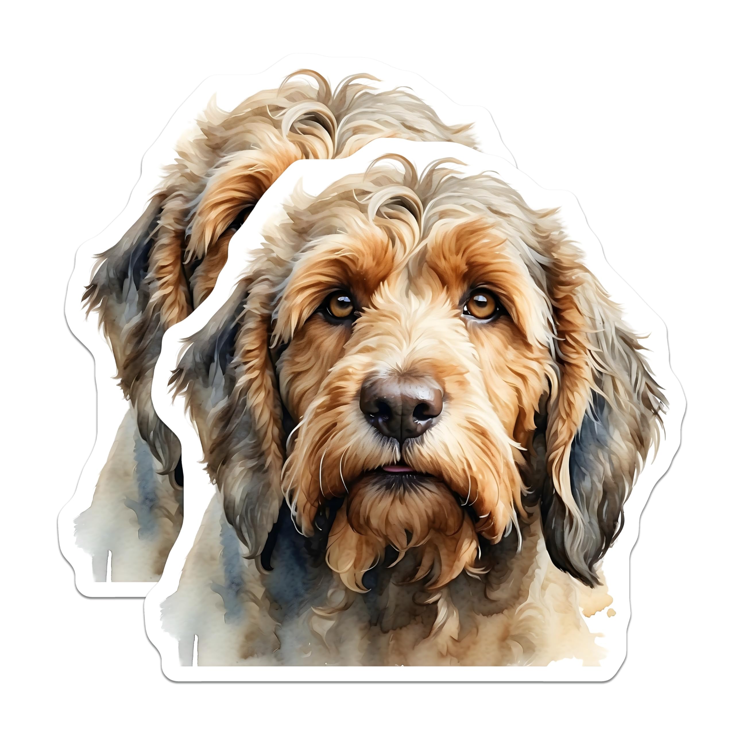 (2 Pack) Otterhound Magnets - Dog Breed Art - Refrigerator Decor - 5" On Longest Side - Premium Magnet - for Cars, Refrigerators, Toolboxes, Lockers - Made in USA - MAG14227