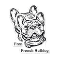 (2 Pack) French Bulldog Stickers - Cute Dog Stickers - Animal Lover Decal - 5" On Longest Side - Sticks to Smooth Flat Surfaces - Made in USA - BMCS4013