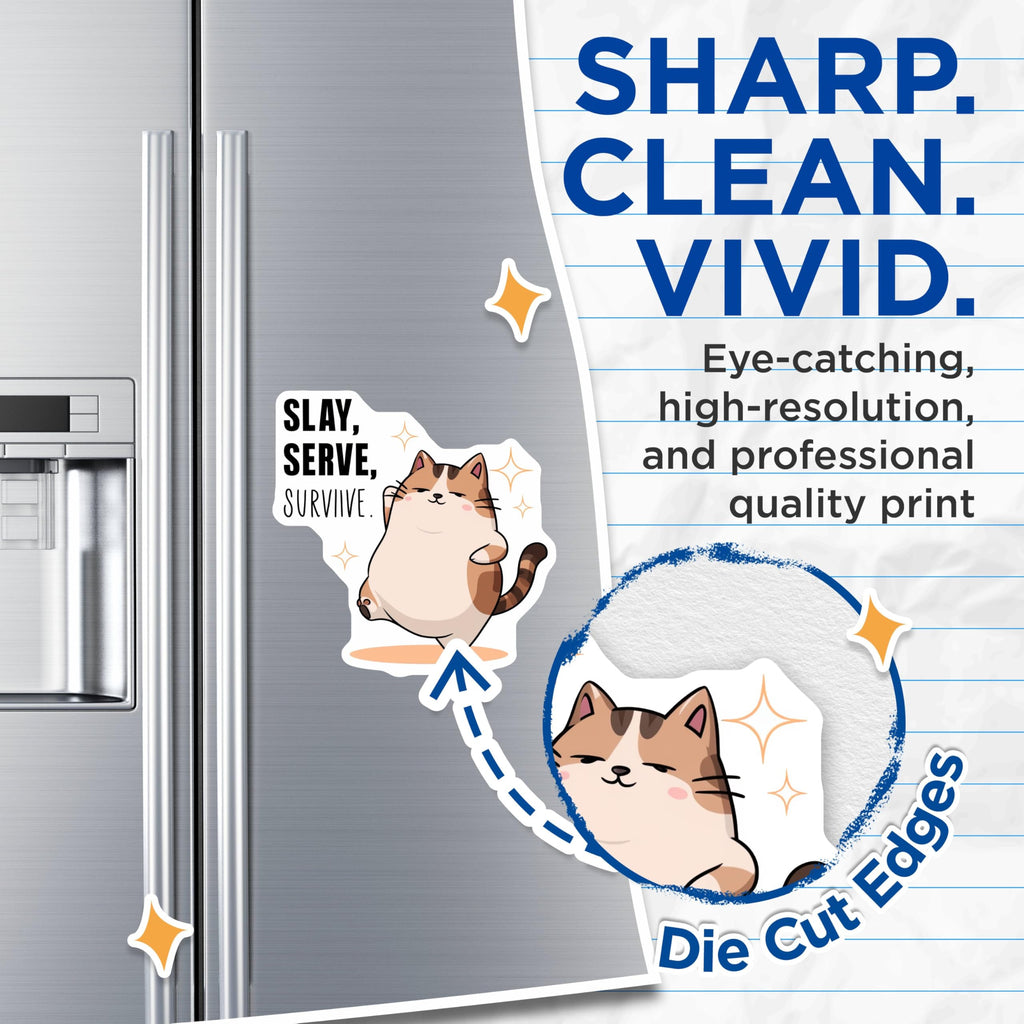 (2 Pack) Cat Quote Magnets - Cute Cat Decor - Funny Inspirational - Kitten Art - Slay Serve Survive - 5" On Longest Side - for Cars, Fridges, Toolboxes - Made in USA - MAG5586