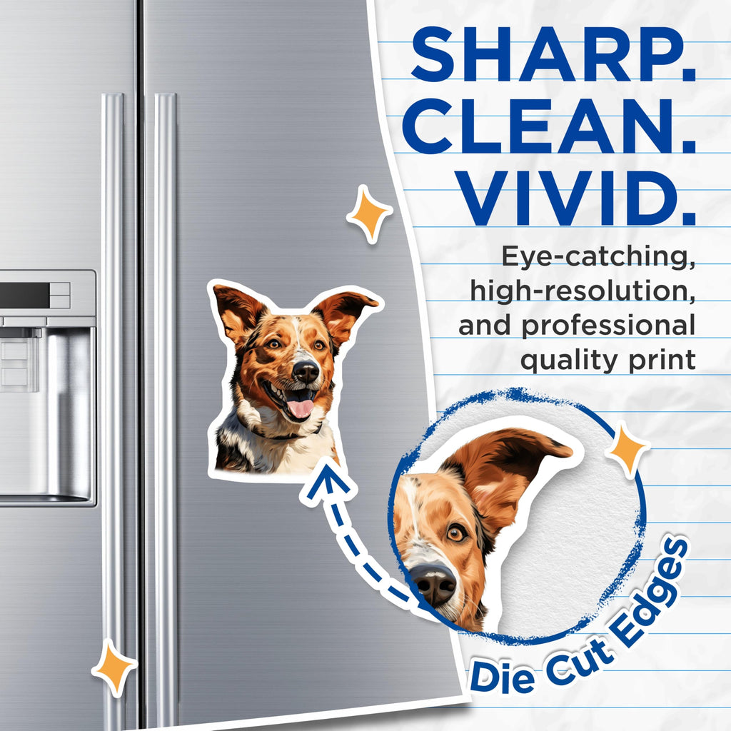 (2 Pack) Happy Dog Magnets - Merle Australian Shepherd Dog - Pet Lover Fridge Decor Dog Mom - 5 Inches On Longest Side - Thick Durable Magnet - Made in USA - MAG26339