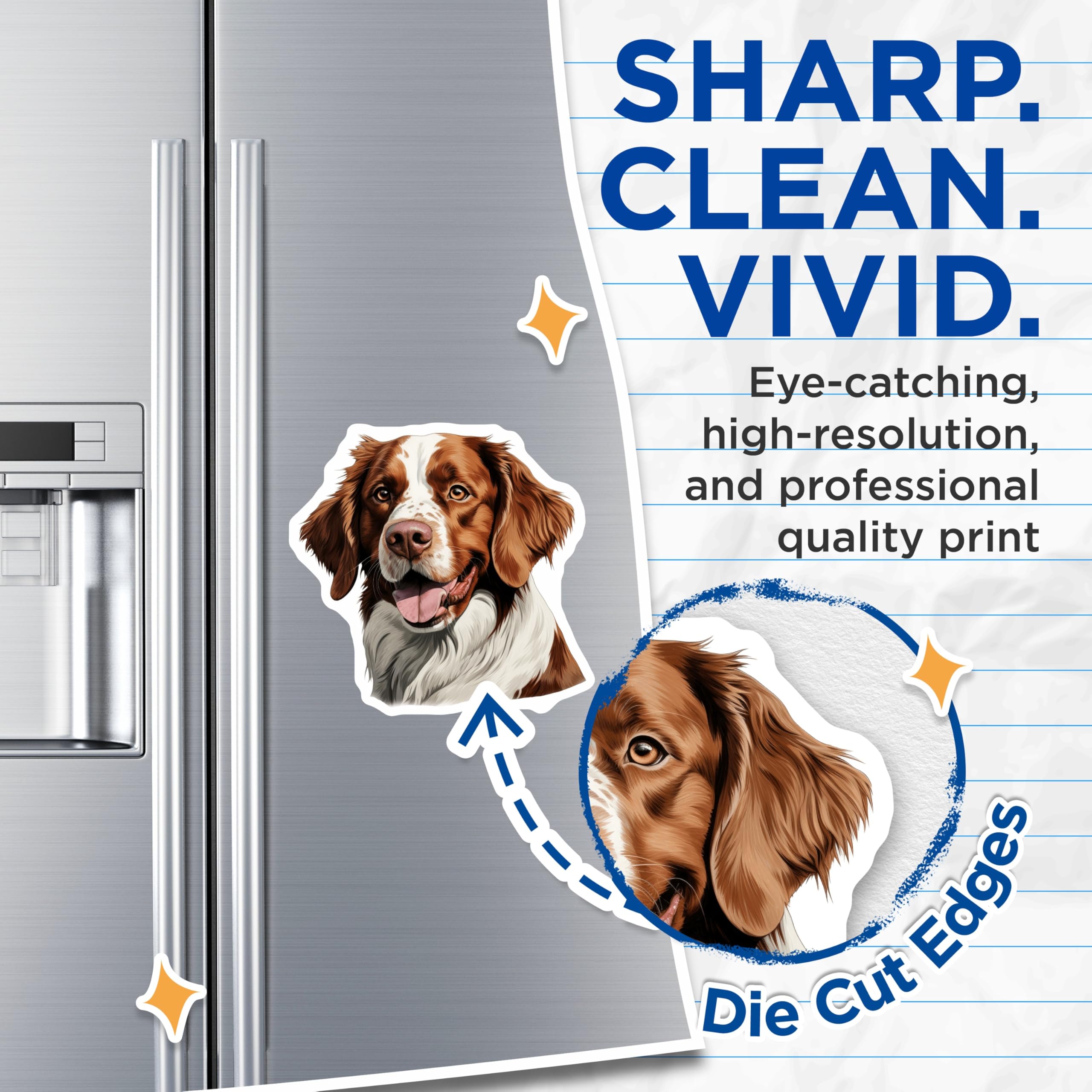 (2 Pack) Brittany Spaniel Magnets - Happy Dog Breed Art - Pet Lover Refrigerator Decor - Dog Mom Dad Accessory - 5 Inches On Longest Side - Thick Durable Magnet - Made in USA - MAG30594