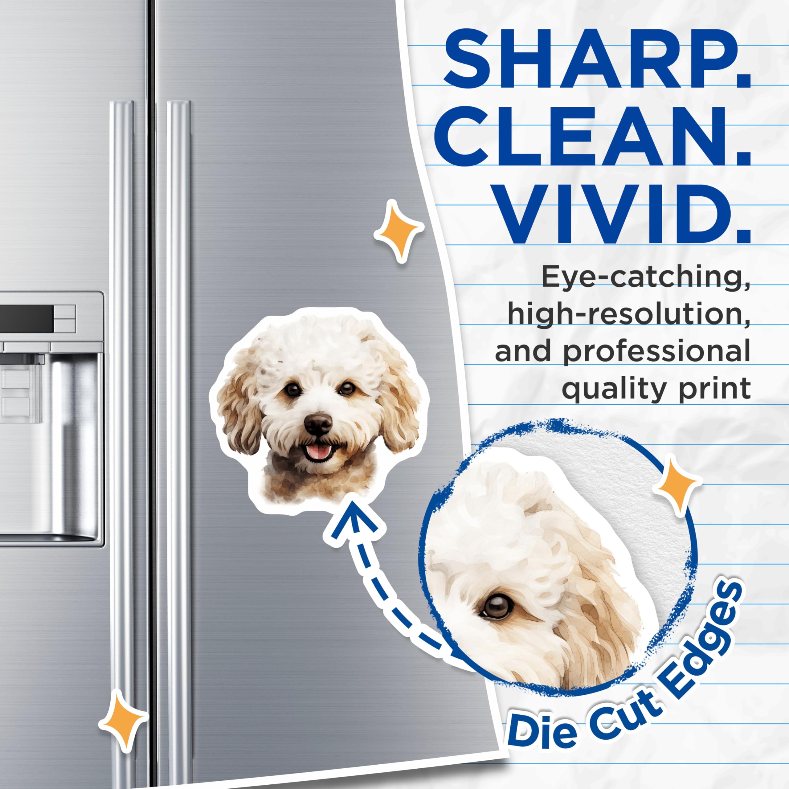 (2 Pack) Adorable Poodle Dog Magnets - Smiling Watercolor Puppy Art - Pet Lover Refrigerator Display - Kennel Accessory - 5 Inches On Longest Side - Thick Durable Magnet - Made in USA - MAG23646