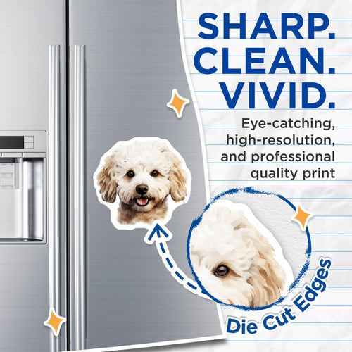 (2 Pack) Adorable Poodle Dog Magnets - Smiling Watercolor Puppy Art - Pet Lover Refrigerator Display - Kennel Accessory - 5 Inches On Longest Side - Thick Durable Magnet - Made in USA - MAG23646