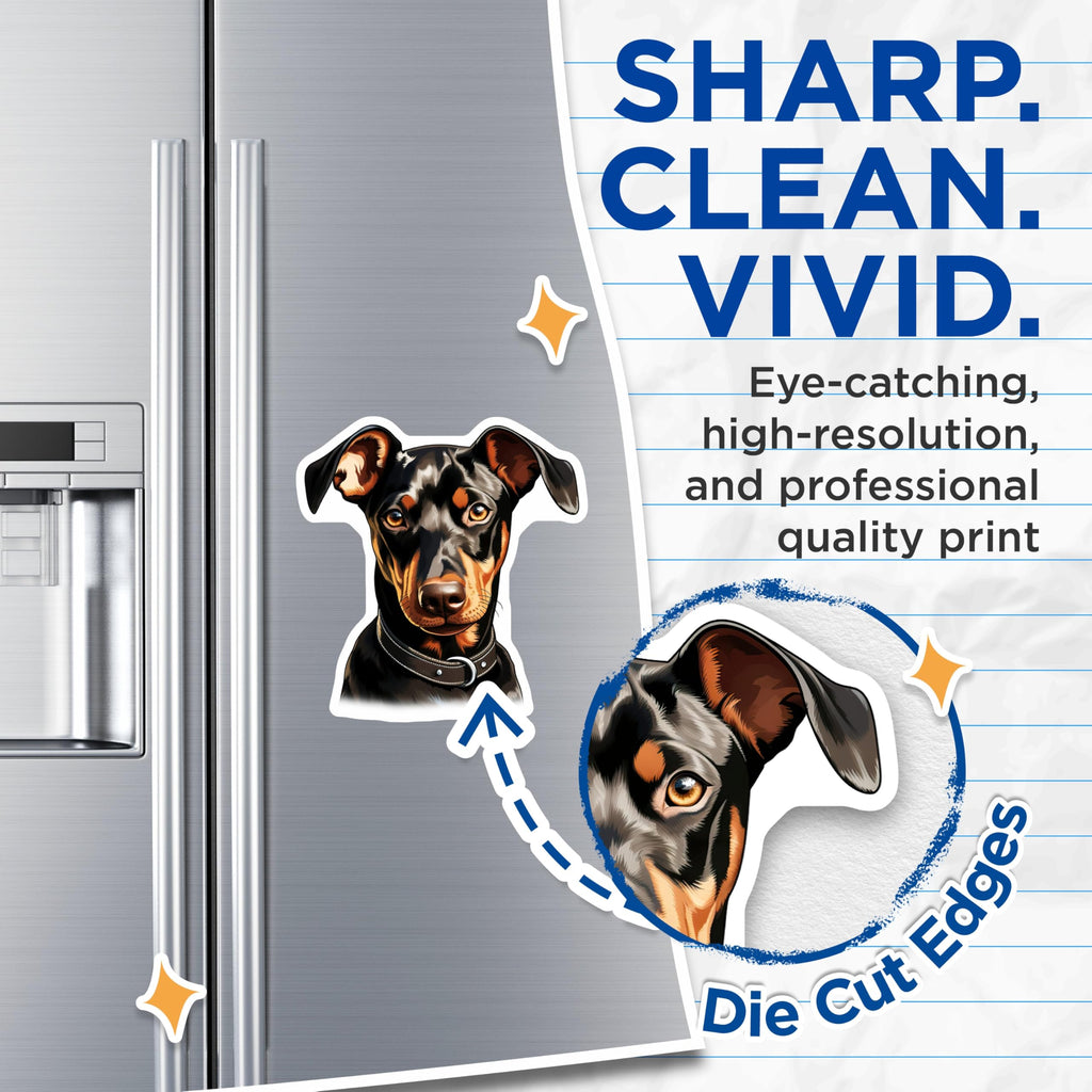 (2 Pack) Doberman Pinscher Dog Magnets - Realistic Pet Portrait - Dog Owner Home Decor - 5 Inches On Longest Side - Thick Durable Magnet - Made in USA - MAG28067