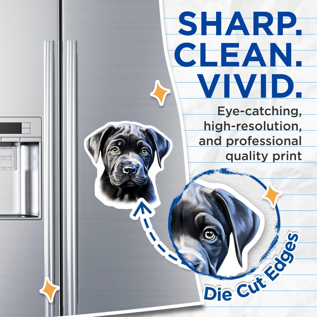 (2 Pack) Black Puppy Magnets - Dog Lover Decor - New Pet Owner Appreciation - 5 Inches On Longest Side - Thick Durable Magnet - Made in USA - MAG28378