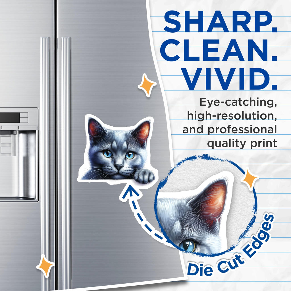 (2 Pack) Cat Magnets - Gray Cat Portrait - Blue Eyed Kitty Refrigerator Magnets - 5" On Longest Side - Premium Magnet - for Cars, Refrigerators, Toolboxes, Lockers - Made in USA - MAG14109