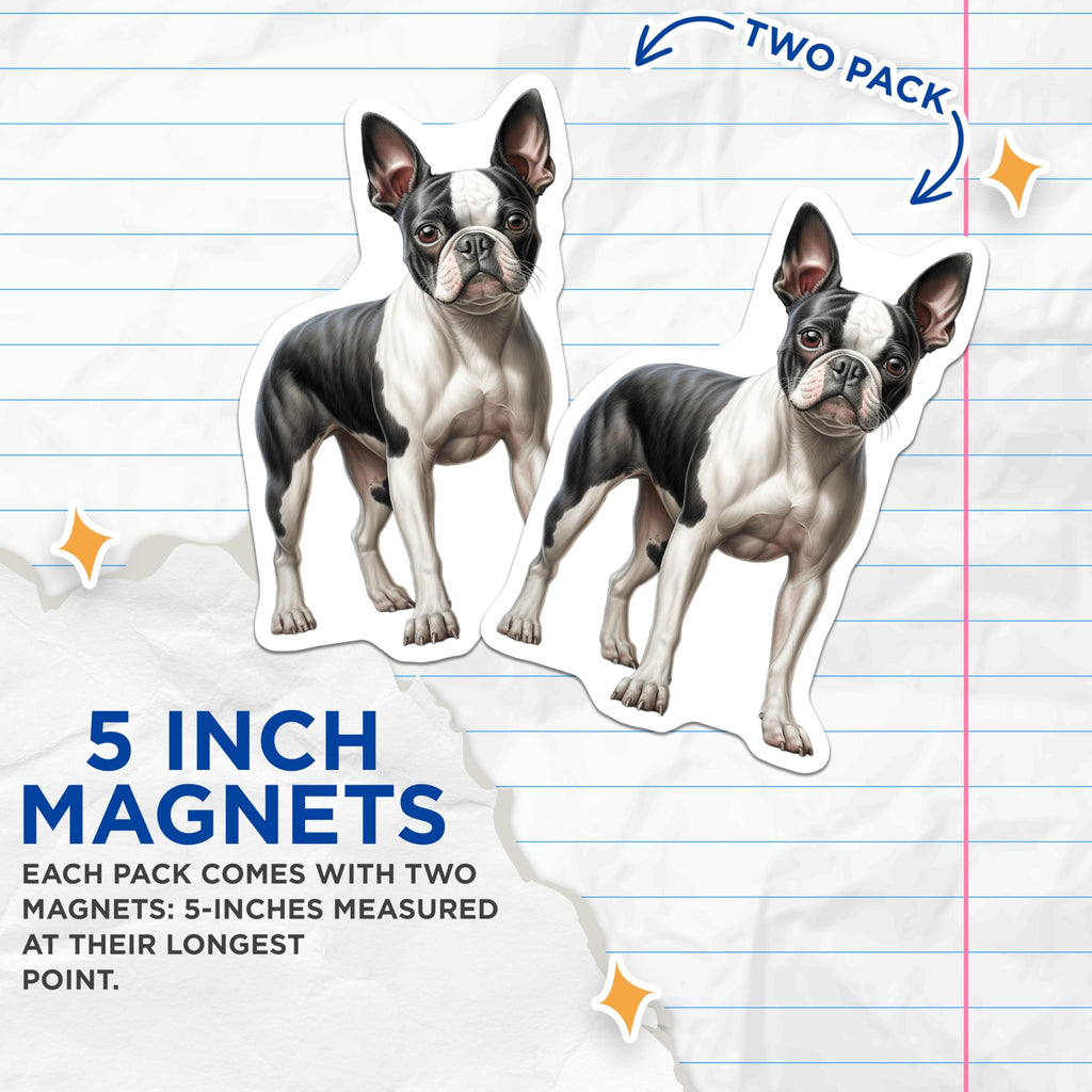 (2 Pack) Boston Terrier Dog Magnets - Adorable Canine Illustration Decor - Pet Breed Lover Refrigerator and Locker Art - 5 Inches On Longest Side - Thick Durable Magnet - Made in USA - MAG24379