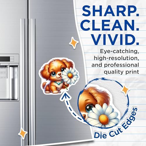 (2 Pack) Cute Animal Decoration Magnet - Refrigerator Decor - Pet Lover Gift - Kitchen Accessories - 5" On Longest Side - Sticks to Smooth Flat Surfaces - Made in USA - MAG9571