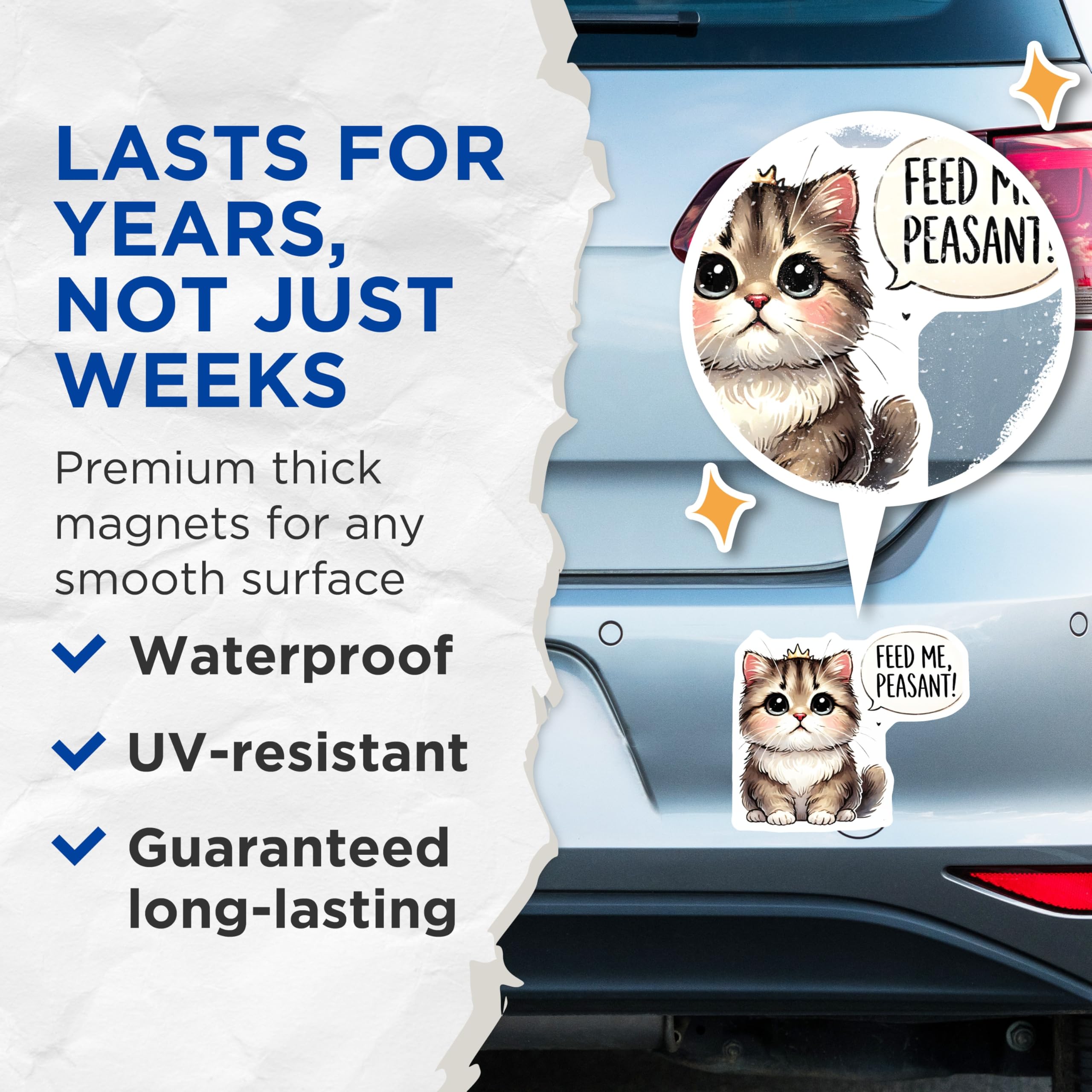(2 Pack) Kitten Magnets - Feed Me Peasant - Funny Cat Decor - 5" On Longest Side - Premium Magnet - for Cars, Refrigerators, Toolboxes, Lockers - Made in USA - MAG14422
