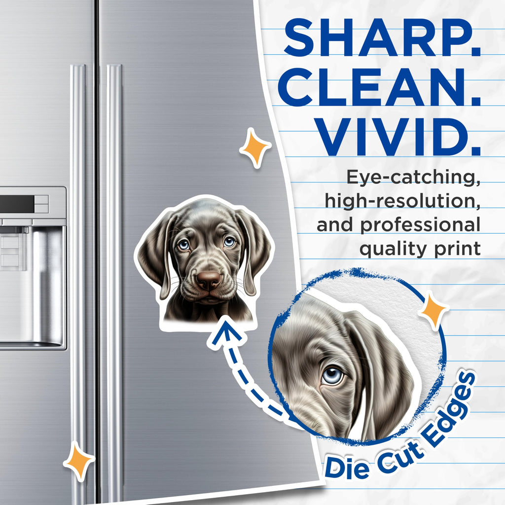 (2 Pack) Weimaraner Puppy Magnets - Adorable Blue Eyed Dog Decor - Unique Canine Art Refrigerator Kitchen Locker Accent - 5 Inches On Longest Side - Thick Durable Magnet - Made in USA - MAG23757