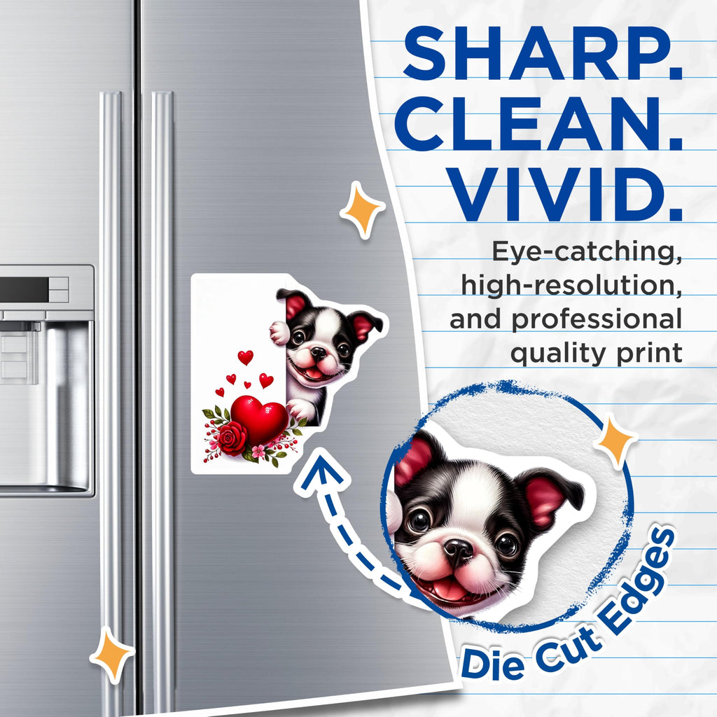 (2 Pack) Boston Terrier Magnets - Puppy Love Decor - Valentine's Day Refrigerator Magnets - 5" On Longest Side - Premium Magnet - for Cars, Refrigerators, Toolboxes, Lockers - Made in USA - MAG14976