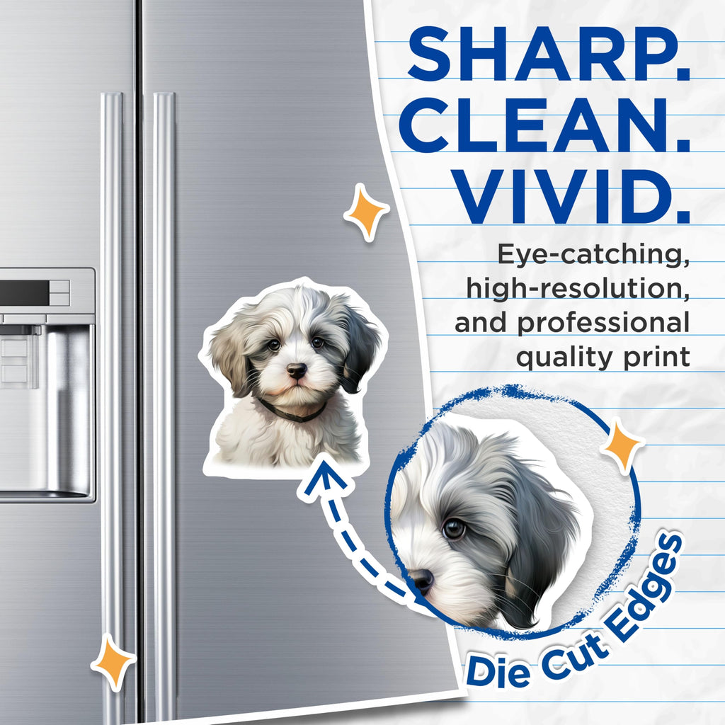 (2 Pack) Cute Puppy Dog Magnets - Fluffy White Gray Pet Lover - Animal Fridge Locker Decor - 5 Inches On Longest Side - Thick Durable Magnet - Made in USA - MAG28368