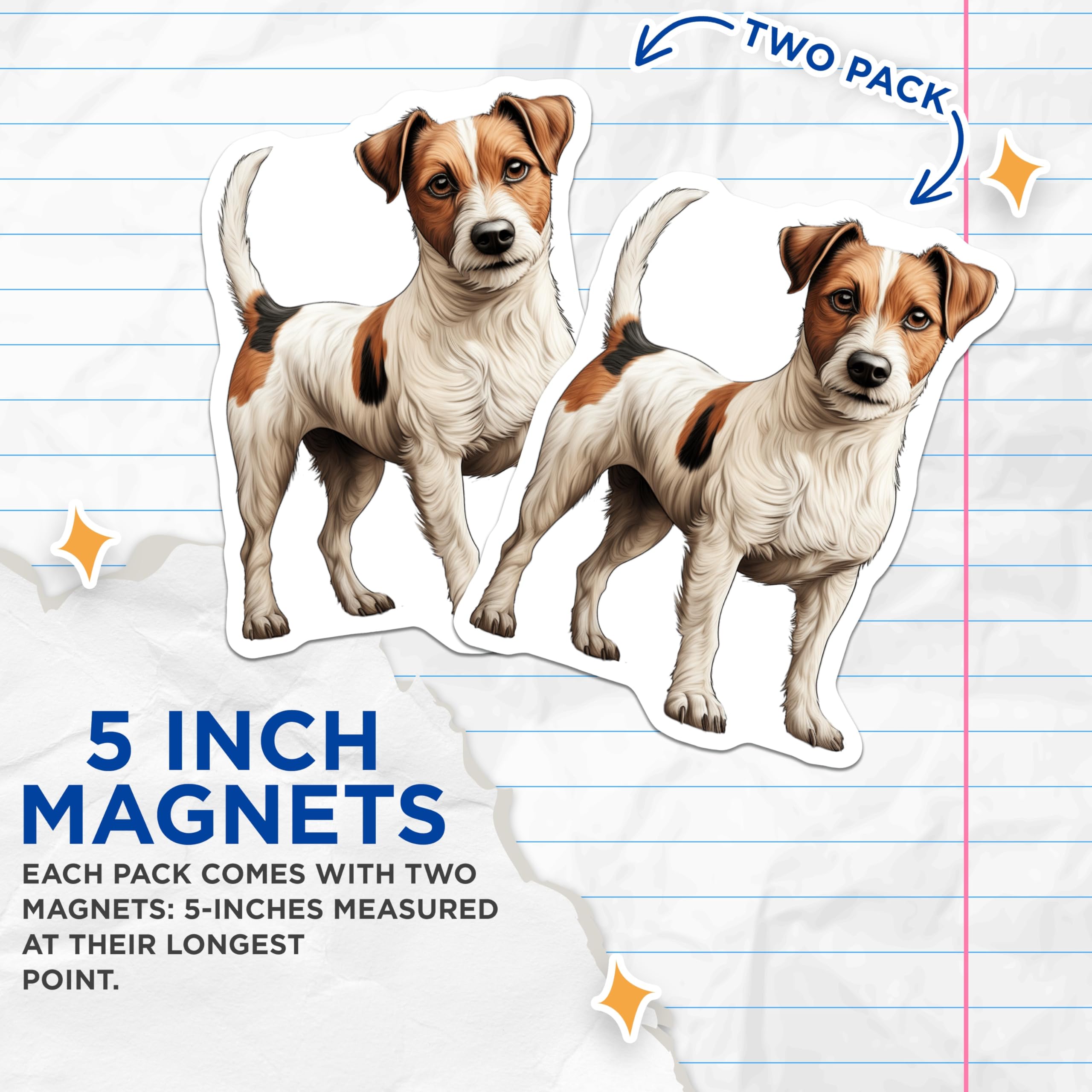 (2 Pack) Jack Russell Terrier Magnets - Dog Lover Fridge Decor - Pet Owner Kitchen Item - Animal Lover - 5 Inches On Longest Side - Thick Durable Magnet - Made in USA - MAG28888