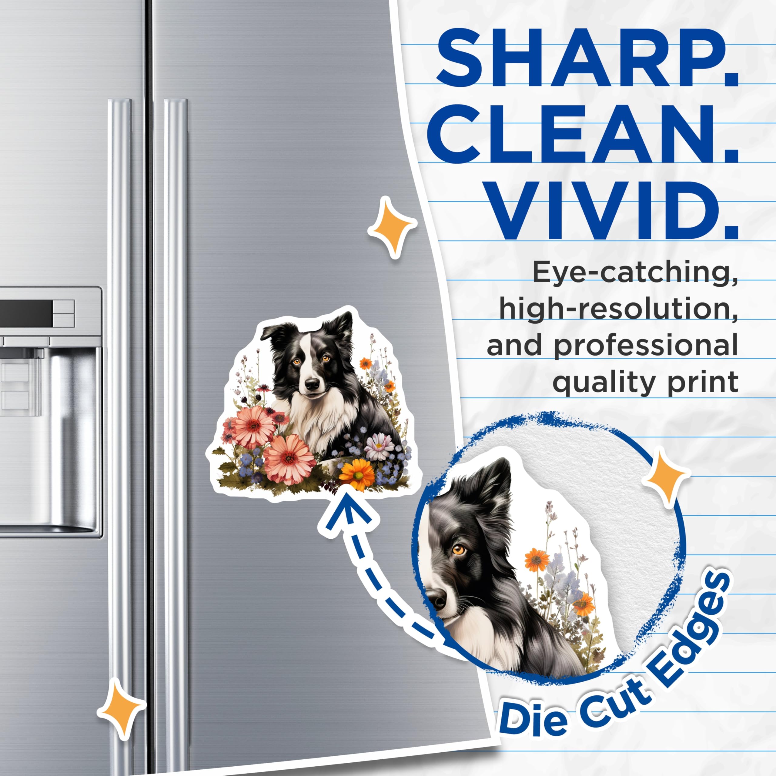 (2 Pack) Border Collie Magnets - Whimsical Floral Dog Art - Pet Lover Refrigerator Decor - Canine Companion Collectible - 5 Inches On Longest Side - Thick Durable Magnet - Made in USA - MAG24605