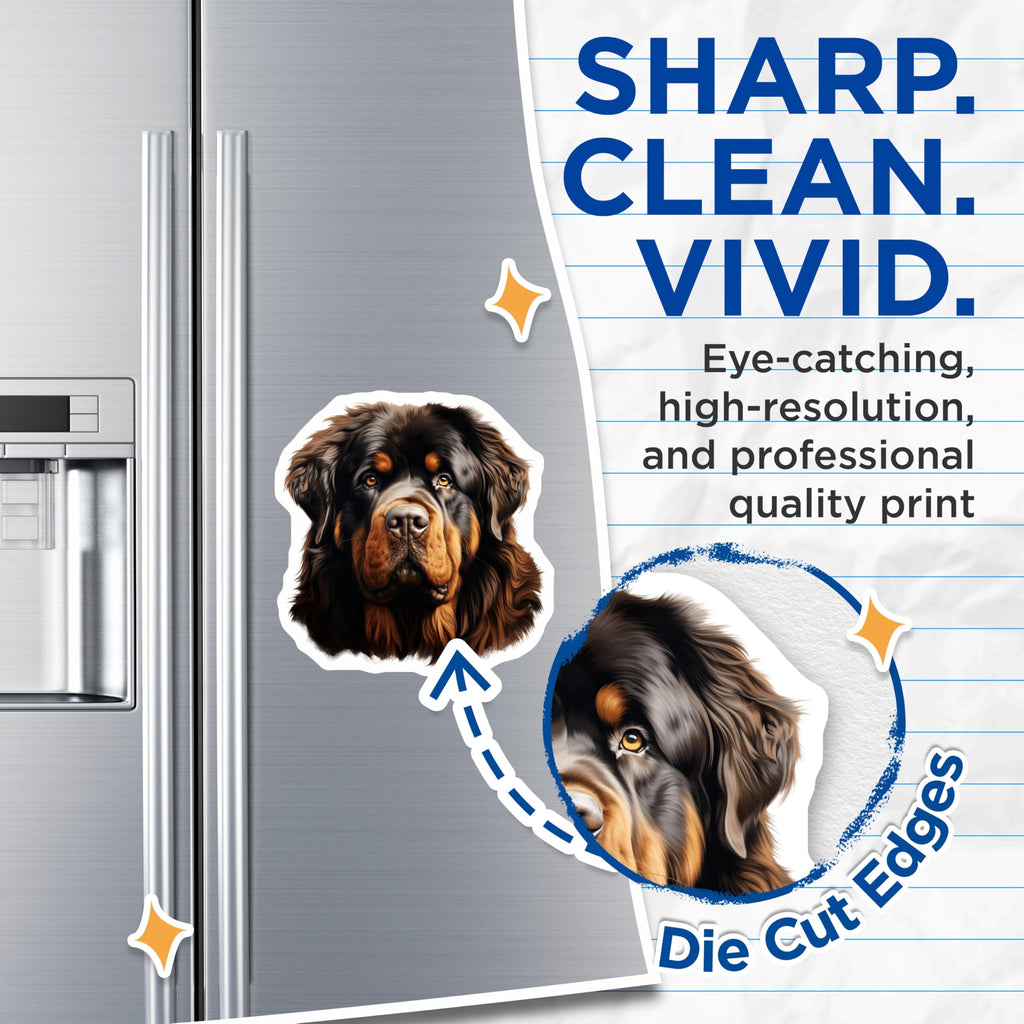 (2 Pack) Tibetan Mastiff Magnets - Majestic Loyal Dog Art - Large Breed Pet Decor - Refrigerator Kitchen Accessory - 5 Inches On Longest Side - Thick Durable Magnet - Made in USA - MAG23946