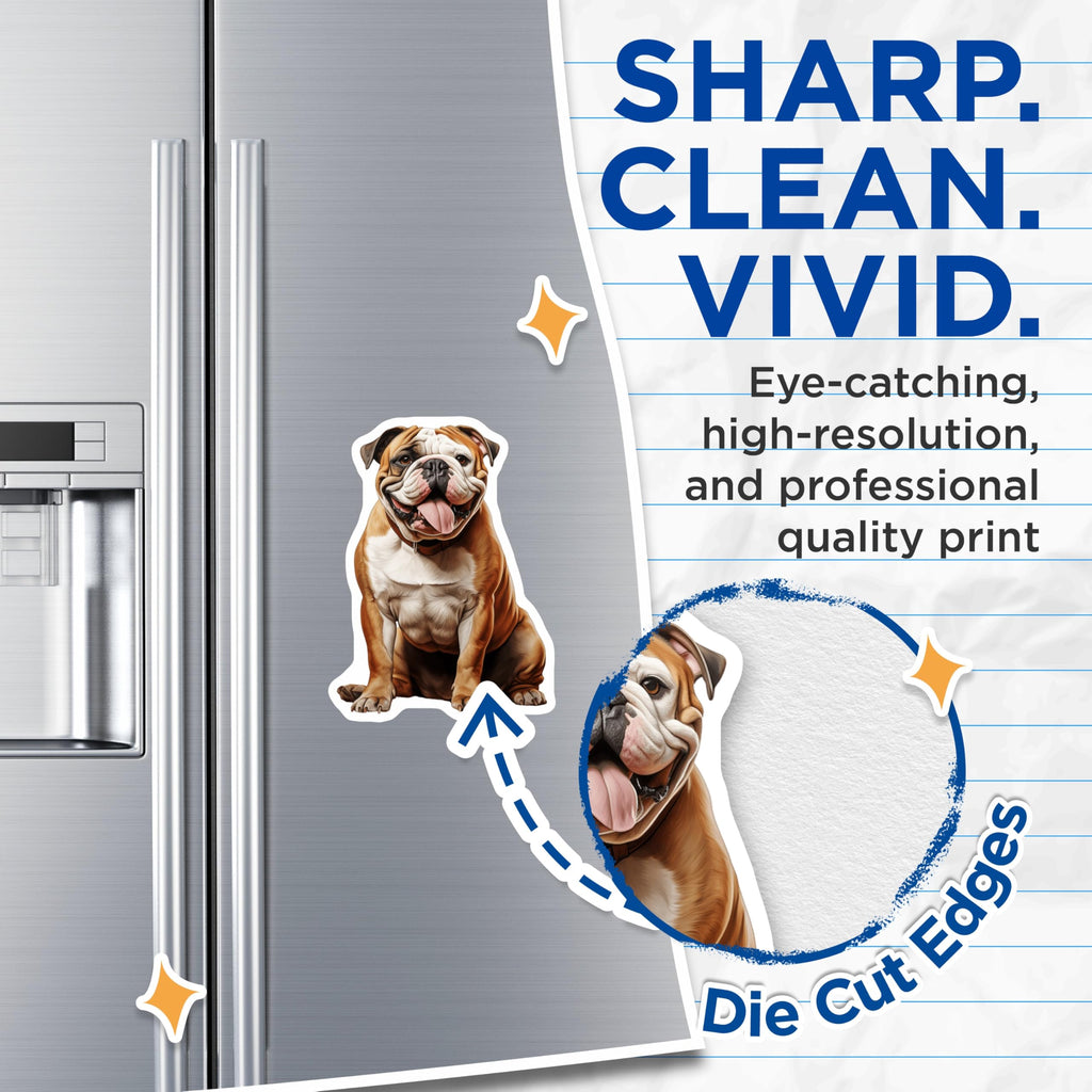 (2 Pack) English Bulldog Magnets - Adorable Dog Breed Art - Pet Lover Fridge Decor - Happy British Bulldog Locker Accessory - 5 Inches On Longest Side - Thick Durable Magnet - Made in USA - MAG24712