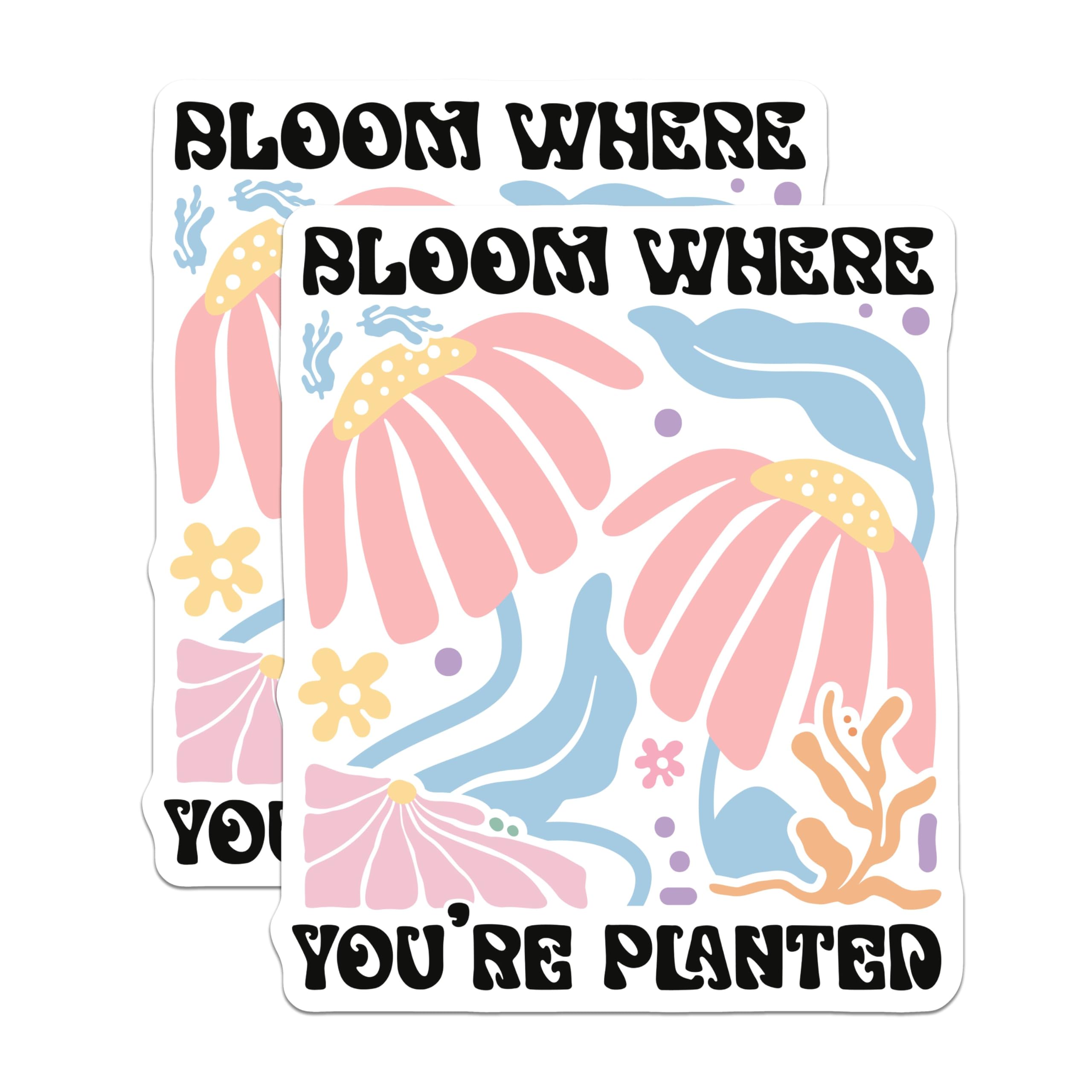(2 Pack) Bloom Where You're Planted Stickers - Positive Quote Stickers - Motivational Flower Stickers - 5" On Longest Side - Sticks to Smooth Flat Surfaces - Made in USA - BMCS3834