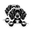 (2 Pack) Cocker Spaniel Magnets - Dog Breed Art - Cute Pet Decor - 5" On Longest Side - Premium Magnet - for Cars, Refrigerators, Toolboxes, Lockers - Made in USA - MAG15192