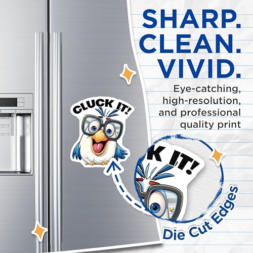 (2 Pack) Funny Bird Magnets - Cluck It - Silly Chicken Magnets for Fridge Locker Office - 5" On Longest Side - for Cars, Fridges, Toolboxes - Made in USA - MAG4375