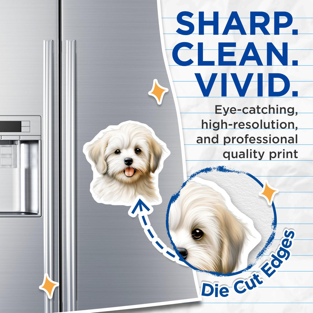 (2 Pack) Cute Puppy Magnets - Adorable Fluffy Dog Art - Happy Animal Decor for Pet Owners Kitchen - 5 Inches On Longest Side - Thick Durable Magnet - Made in USA - MAG29313