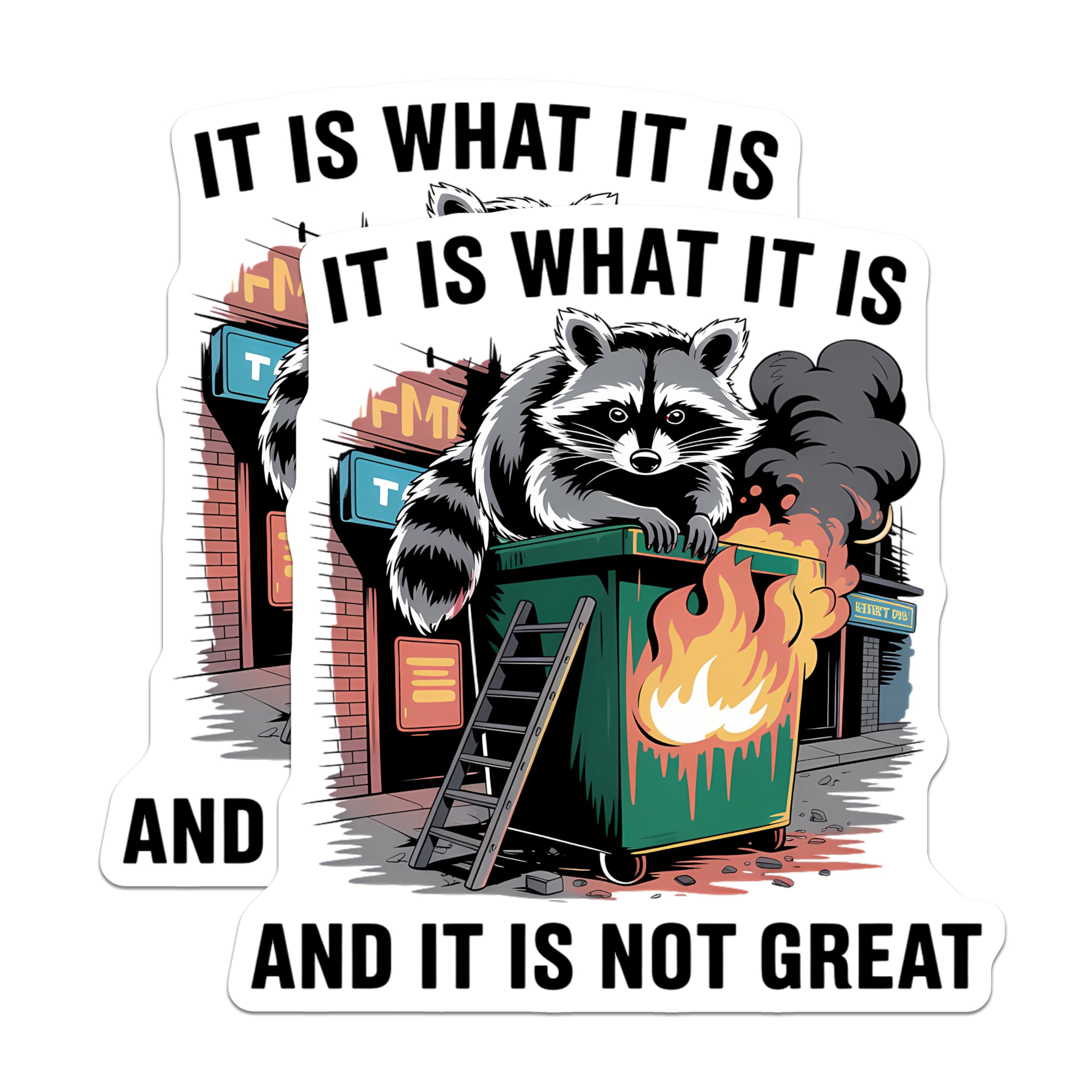 (2 Pack) Raccoon Dumpster Fire Magnets - It is What It is Meme - Funny Sarcastic Animal Fridge Decor - 5 Inches On Longest Side - Thick Durable Magnet - Made in USA - MAG23209