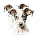 (2 Pack) Italian Greyhound Puppy Magnets - Cute Dog Decor - Pet Lover Collection - 5 Inches On Longest Side - Thick Durable Magnet - Made in USA - MAG24050