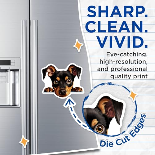 (2 Pack) Cute Puppy Fridge Decor Magnet - 5" On Longest Side - Sticks to Smooth Flat Surfaces - Made in USA - MAG10173