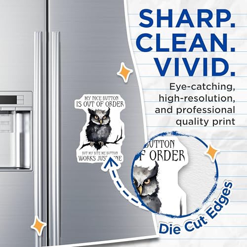(2 Pack) Funny Owl Magnets - Office Humor - Cute Animal Decor for Desk - 5" On Longest Side - for Cars, Fridges, Toolboxes - Made in USA - MAG7729