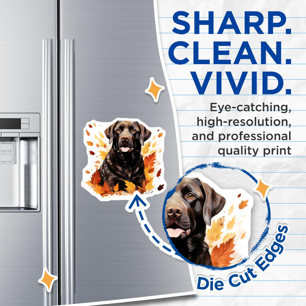(2 Pack) Chocolate Labrador Magnets - Fall Leaves Dog Art - Pet Lover Fridge Decor Animal Theme - 5 Inches On Longest Side - Thick Durable Magnet - Made in USA - MAG26431