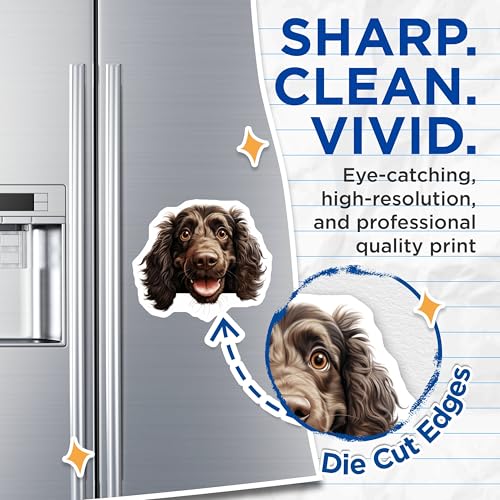 (2 Pack) Animal Lover Decor Magnet - Cute Pet Accessory - 5" On Longest Side - Sticks to Smooth Flat Surfaces - Made in USA - MAG9887