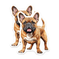(2 Pack) French Bulldog Magnets - Fawn Frenchie Dog Lover - Pet Owner Refrigerator Decor - 5 Inches On Longest Side - Thick Durable Magnet - Made in USA - MAG27385