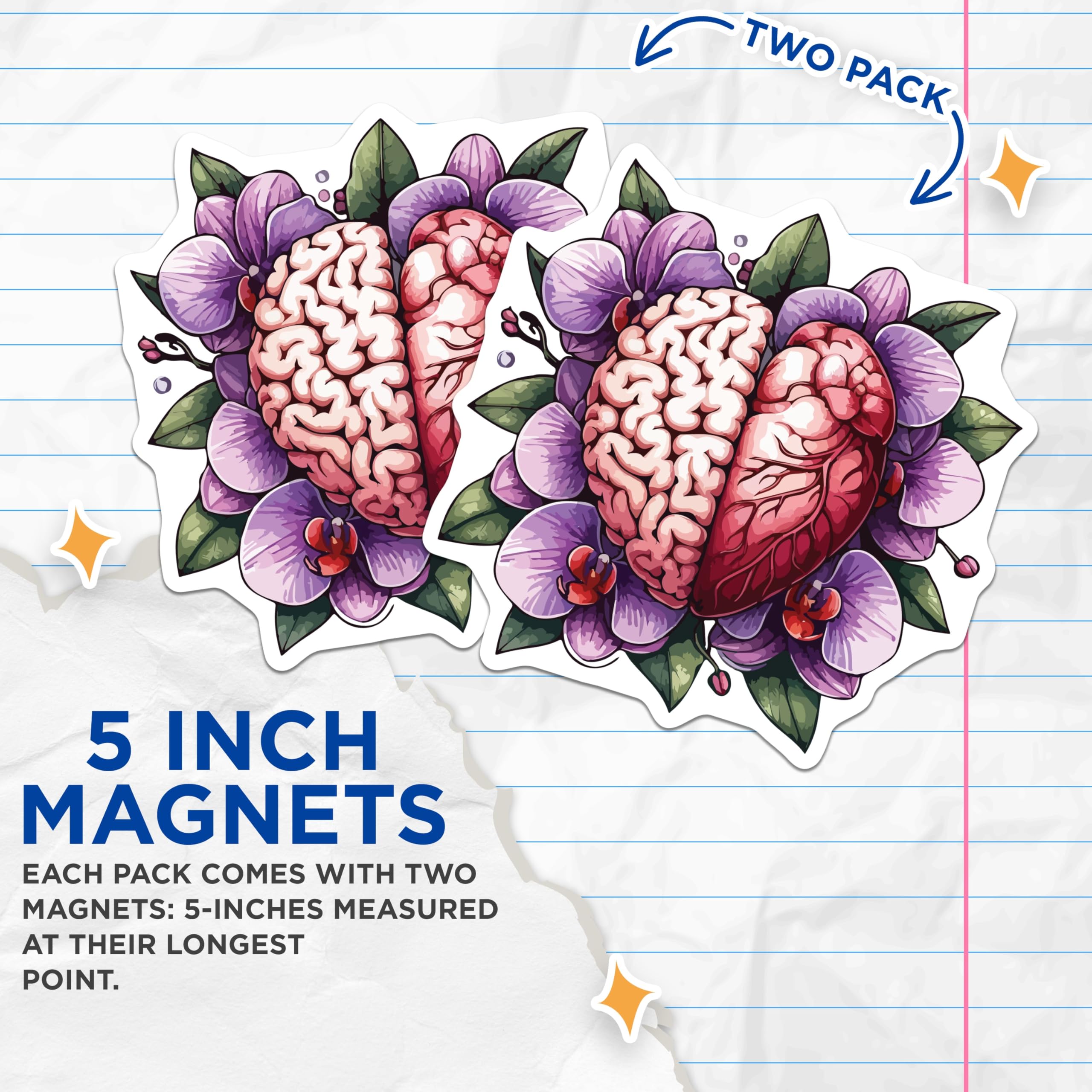 (2 Pack) Brain Heart Magnets - Orchid Flower Art - Anatomy Love Symbol Decor - Mind Body Balance - Floral Illustration - 5 Inches On Longest Side - Thick Durable Magnet - Made in USA - MAG19663