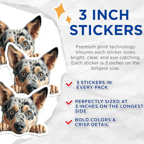 (3 Pack) Blue Heeler Decals - Laptop Decals - Dog Breed Stickers - 3 Inches On Longest Side - Easy Peel & Apply - Made in USA - 3MCS8599