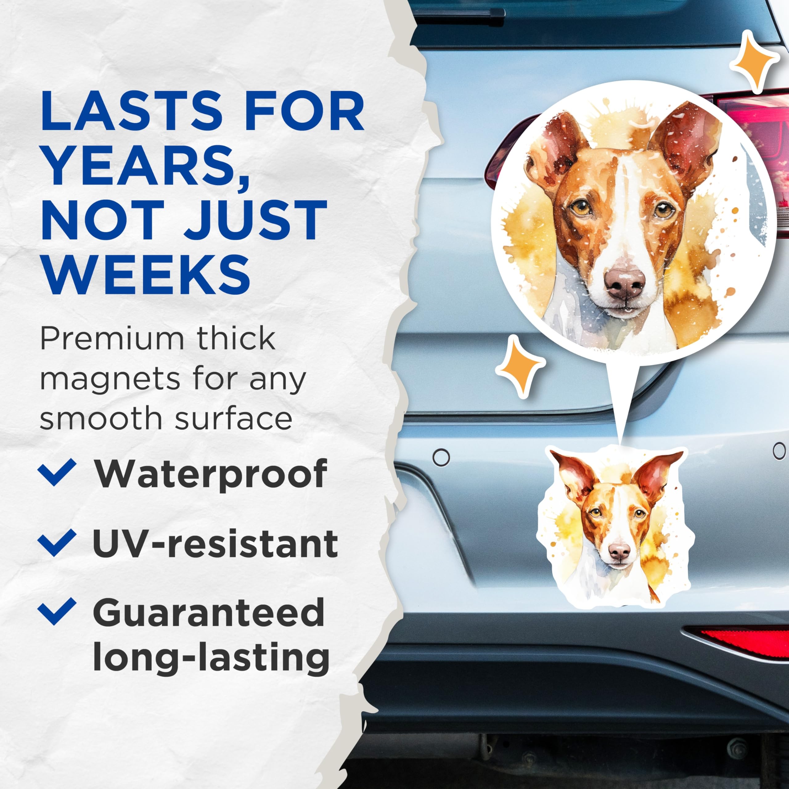 (2 Pack) Podenco Dog Magnets - Watercolor Animal Art - Unique Pet Lover Decor - 5 Inches On Longest Side - Thick Durable Magnet - Made in USA - MAG24611