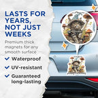 (2 Pack) Cute Cat Magnets - Lowkey Plotting and Scheming - Mushroom Cat - Witch Hat Cat Magnets for Fridge - 5" On Longest Side - for Cars, Fridges, Toolboxes - Made in USA - MAG4342
