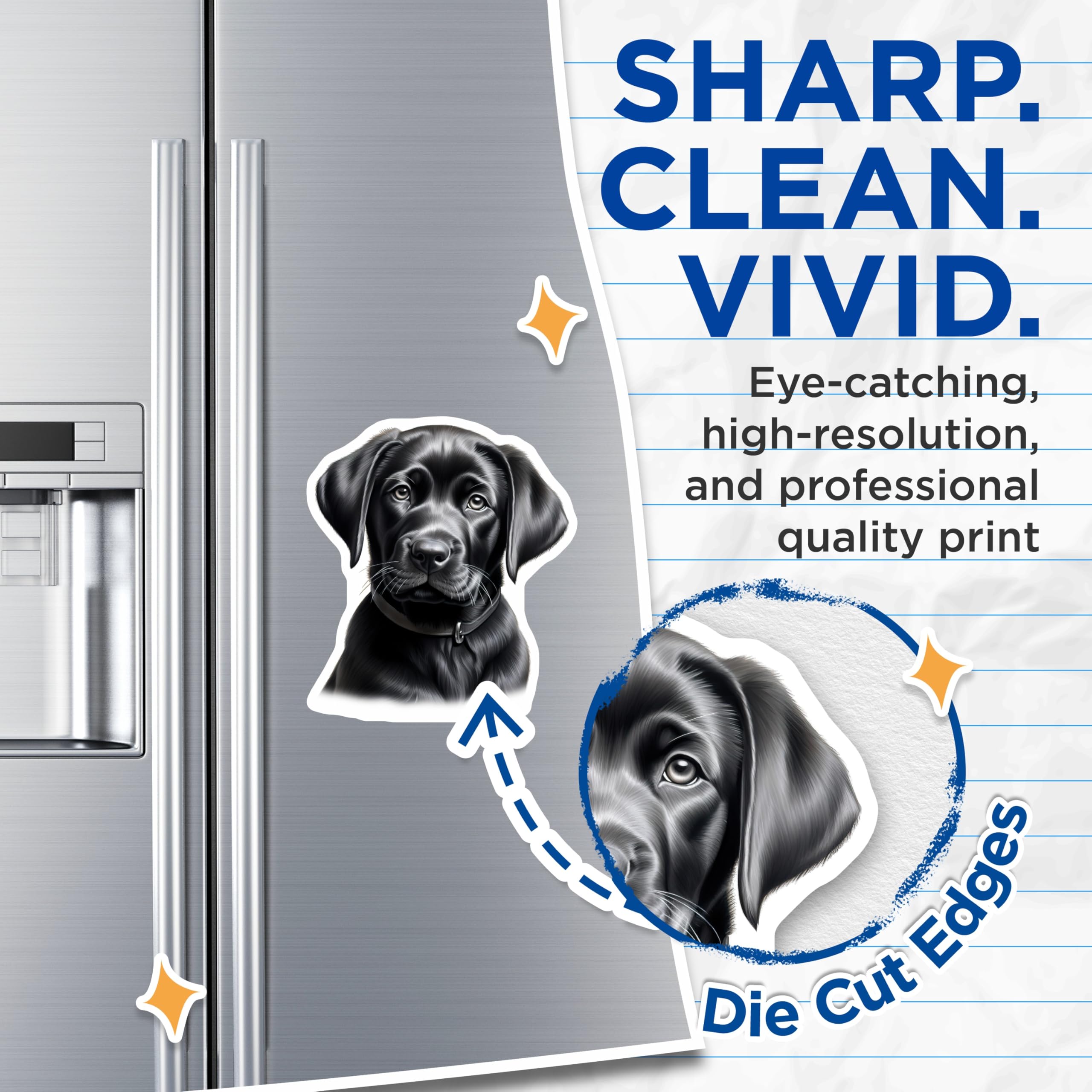 (2 Pack) Black Lab Puppy Magnets - Adorable Labrador Retriever - Cute Dog Decor - Pet Lover Kitchen Fridge Accessory - 5 Inches On Longest Side - Thick Durable Magnet - Made in USA - MAG23741