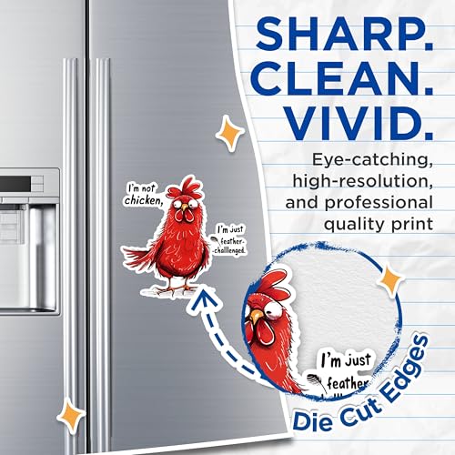 (2 Pack) I'm Not Chicken Magnets - Feather-Challenged Joke Magnets - Funny Animal Magnets for Fridge- 5" On Longest Side - for Fridges, Toolboxes, Cars - Made in USA - MAG2603