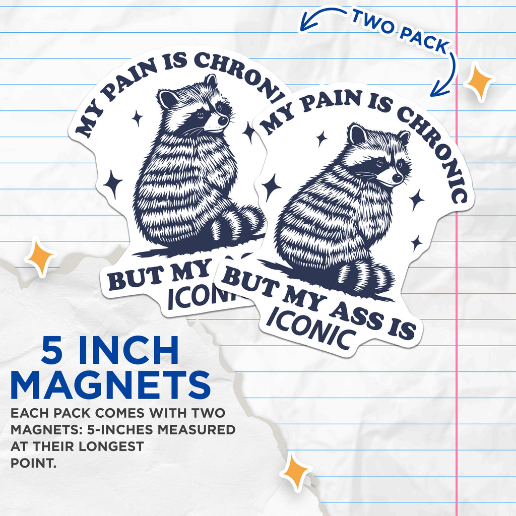 (2 Pack) Raccoon Chronic Pain Magnets - Iconic Ass Humor - Sarcastic Fridge Accent - 5 Inches On Longest Side - Thick Durable Magnet - Made in USA - MAG36431