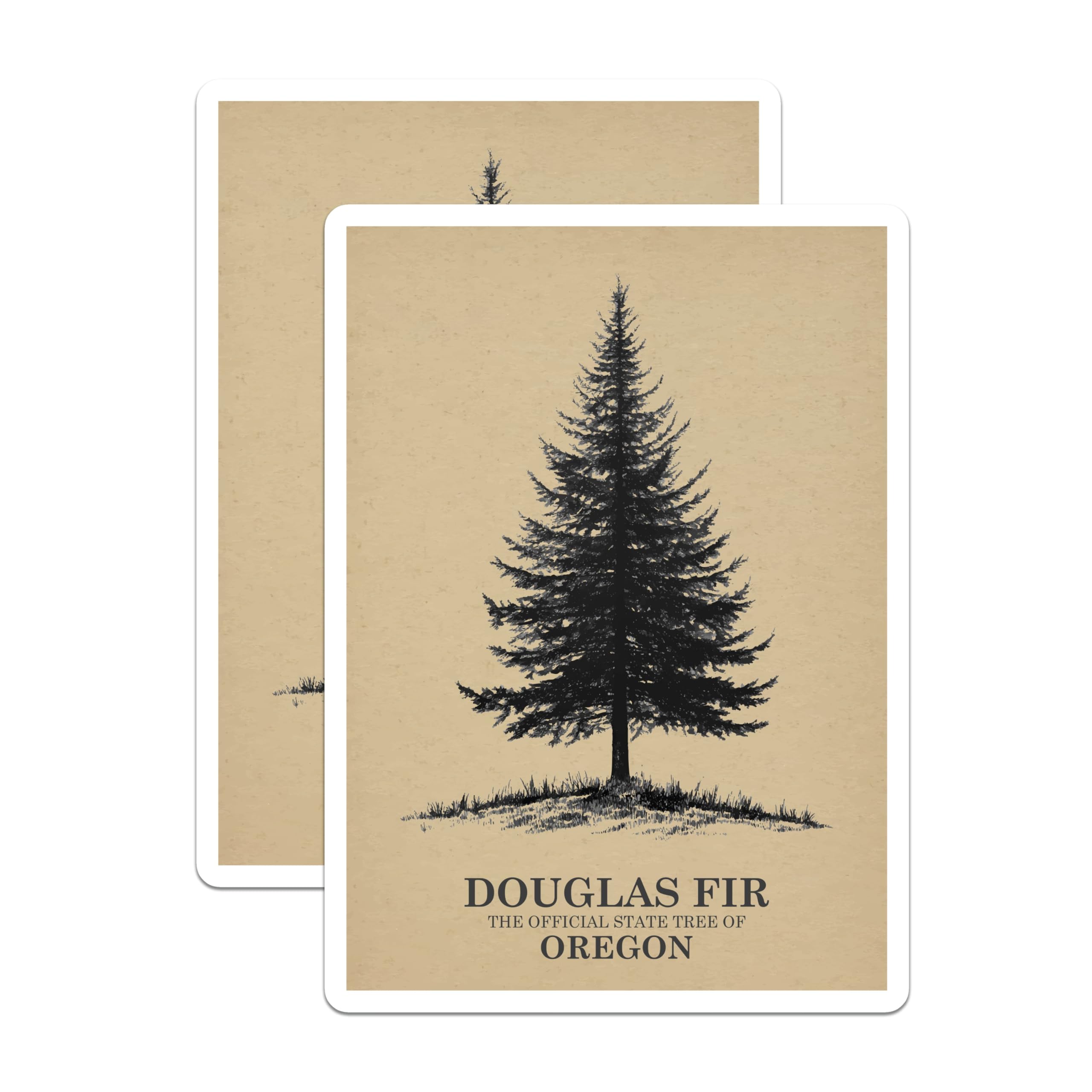 (2 Pack) Douglas Fir Magnets - Oregon State Tree - Botanical Art Magnets - 5" On Longest Side - Premium Magnet - for Cars, Refrigerators, Toolboxes, Lockers - Made in USA - MAG18228