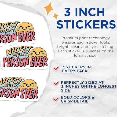 (3 Pack) Nicest Mean Person Decals - Funny Quote Stickers - Sarcastic Laptop Stickers - 3 Inches On Longest Side - Easy Peel & Apply - Made in USA - 3MCS0550