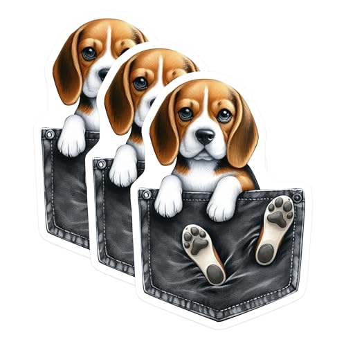 (3 Pack) Beagle Dog Decals - Pocket Puppy Stickers - Laptop Decal - 3 Inches On Longest Side - Easy Peel & Apply - Made in USA - 3MCS2647