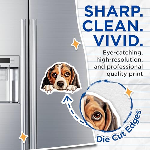 (2 Pack) Animal Fridge Decor Magnet - 5" On Longest Side - Sticks to Smooth Flat Surfaces - Made in USA - MAG9855