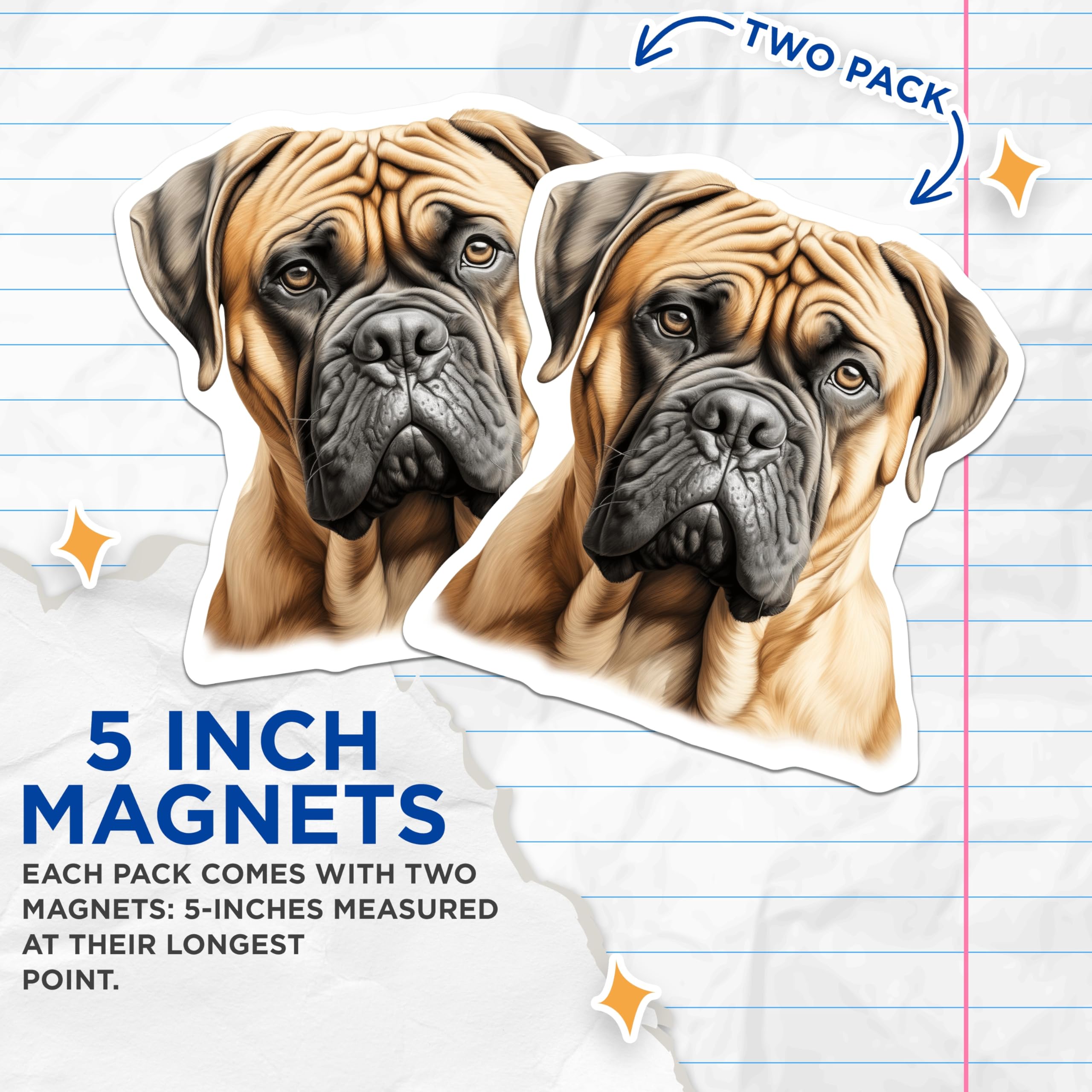 (2 Pack) Bullmastiff Magnets - Dog Breed Lover Decor - Pet Owner Kennel Accessories - Fridge Office Locker Display - 5 Inches On Longest Side - Thick Durable Magnet - Made in USA - MAG25029