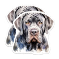 (2 Pack) Neapolitan Mastiff Magnets - Watercolor Dog Art - Animal Lover Fridge Decor - Pet Parent Present - 5 Inches On Longest Side - Thick Durable Magnet - Made in USA - MAG26908