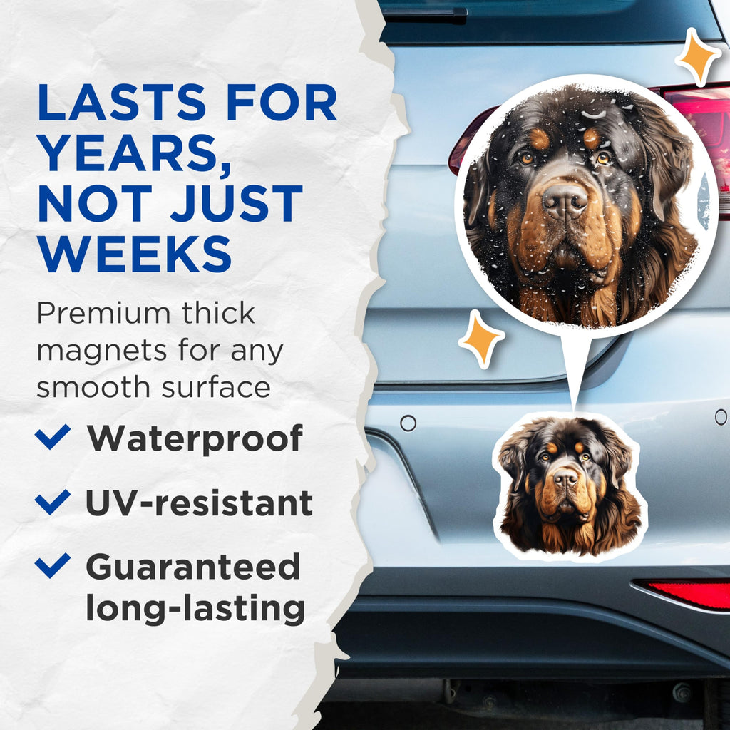 (2 Pack) Tibetan Mastiff Magnets - Majestic Loyal Dog Art - Large Breed Pet Decor - Refrigerator Kitchen Accessory - 5 Inches On Longest Side - Thick Durable Magnet - Made in USA - MAG23946