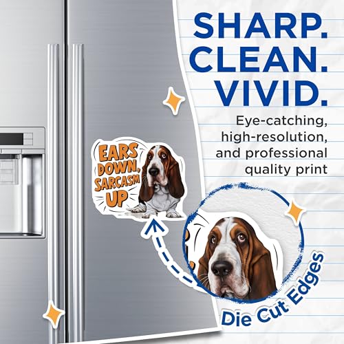 (2 Pack) Ears Down Sarcasm Up Magnets Magnets - Humor Decor - 5" On Longest Side - Made in USA - Sticks to Refrigerators & Metal Surfaces - MAG8516